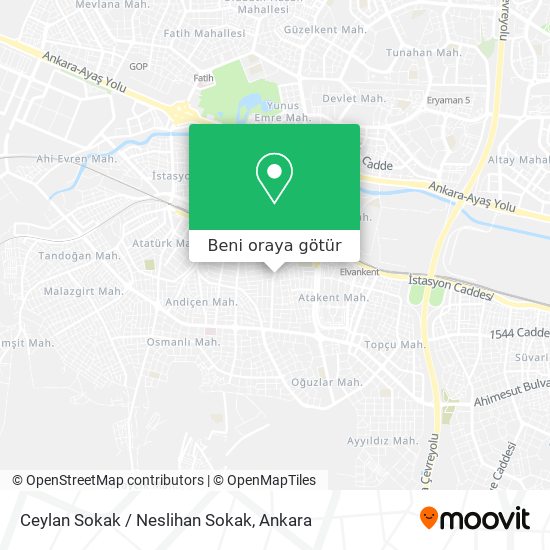 Ceylan Sokak / Neslihan Sokak harita