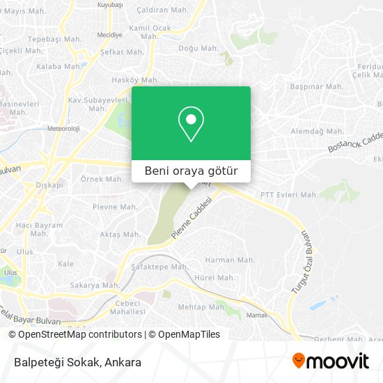 Balpeteği Sokak harita