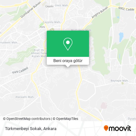 Türkmenbeyi Sokak harita