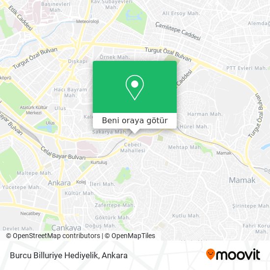 Burcu Billuriye Hediyelik harita