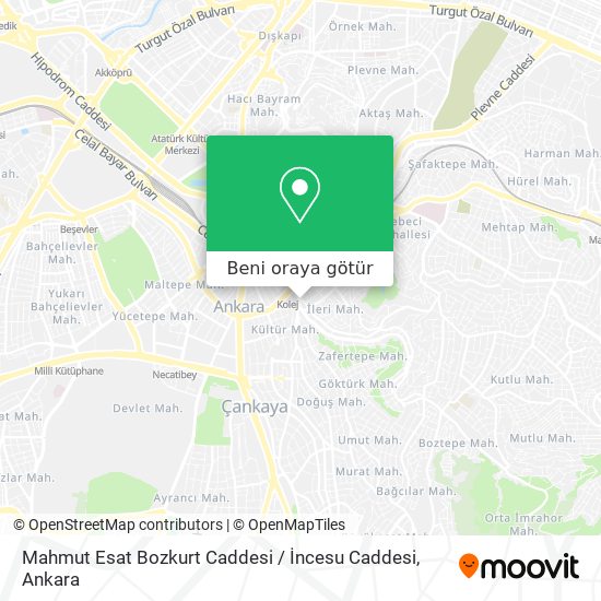 Mahmut Esat Bozkurt Caddesi / İncesu Caddesi harita
