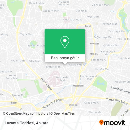 Lavanta Caddesi harita