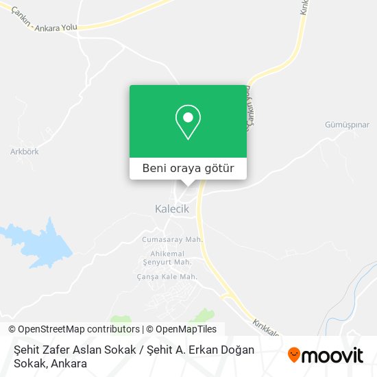 Şehit Zafer Aslan Sokak / Şehit A. Erkan Doğan Sokak harita