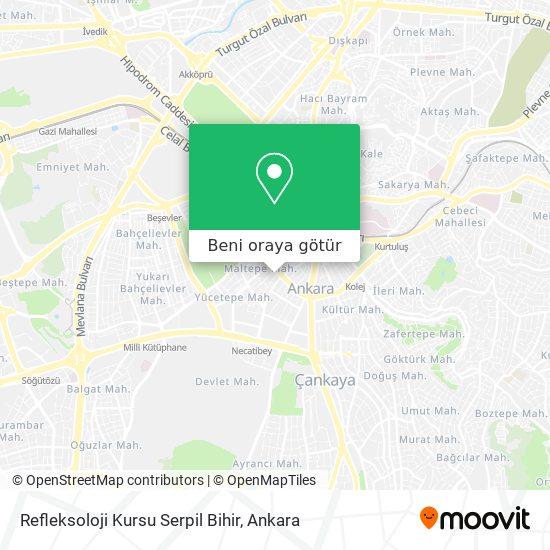 Refleksoloji Kursu Serpil Bihir harita
