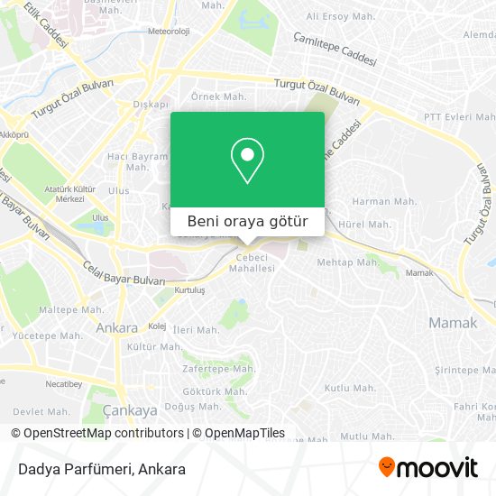 Dadya Parfümeri harita