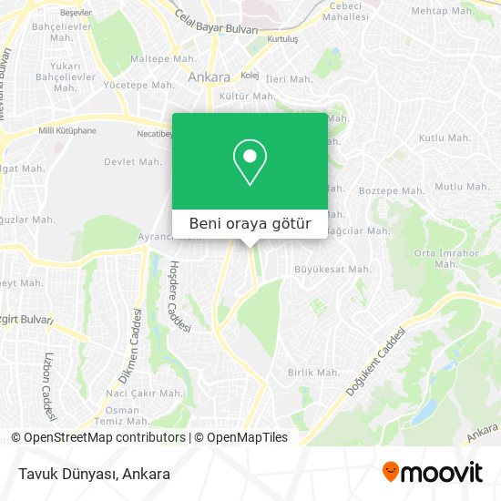 Tavuk Dünyası harita