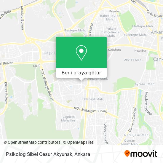 Psikolog Sibel Cesur Akyunak harita