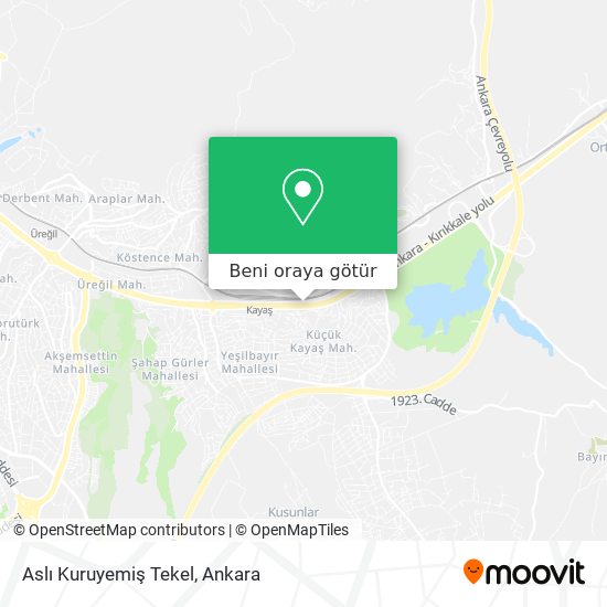 Aslı Kuruyemiş Tekel harita