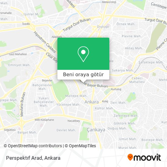Perspektıf Arad harita