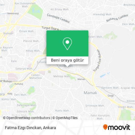Fatma Ezgı Dınckan harita