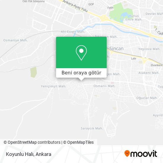 Koyunlu Halı harita