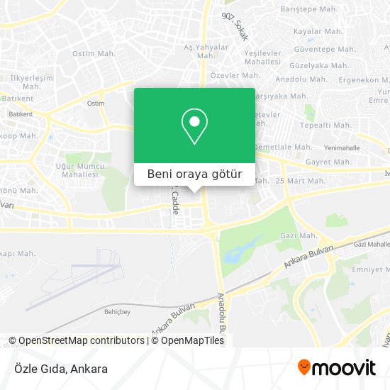 Özle Gıda harita