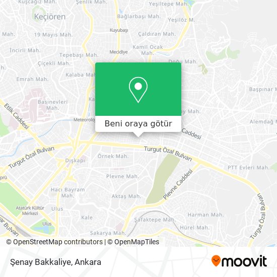 Şenay Bakkaliye harita
