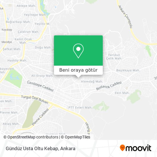 Gündüz Usta Oltu Kebap harita