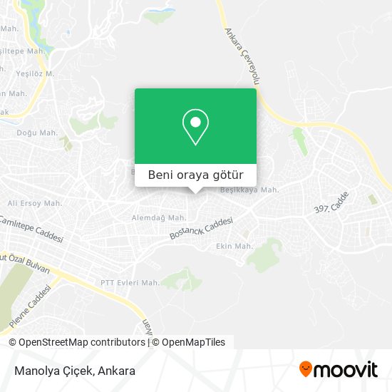 Manolya Çiçek harita