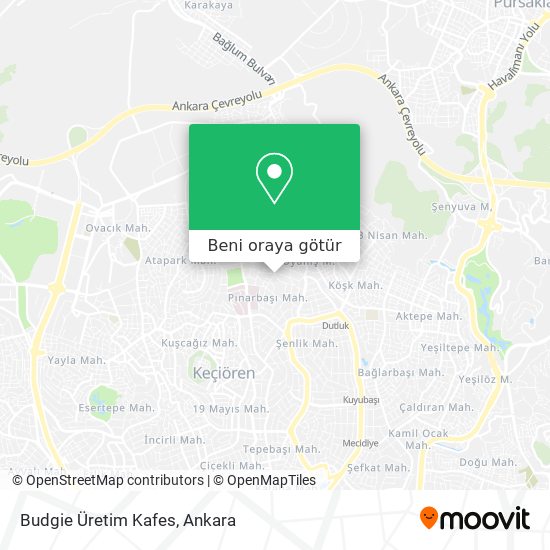 Budgie Üretim Kafes harita