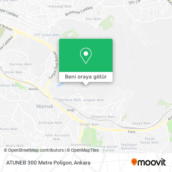 ATUNEB 300 Metre Poligon harita
