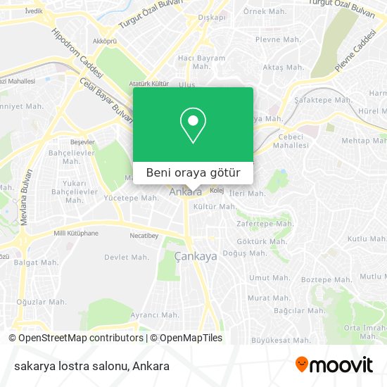 sakarya lostra salonu harita