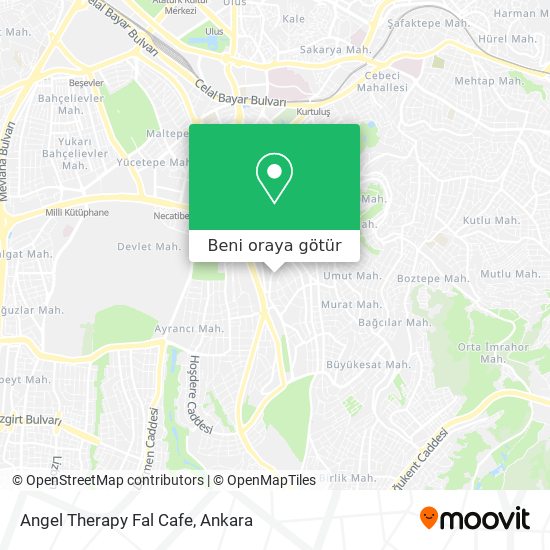 Angel Therapy Fal Cafe harita