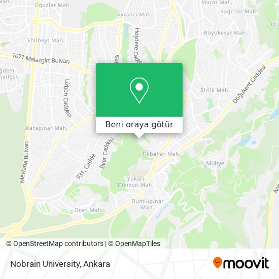 Nobrain University harita