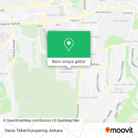 Deniz Tekel Kuruyemiş harita