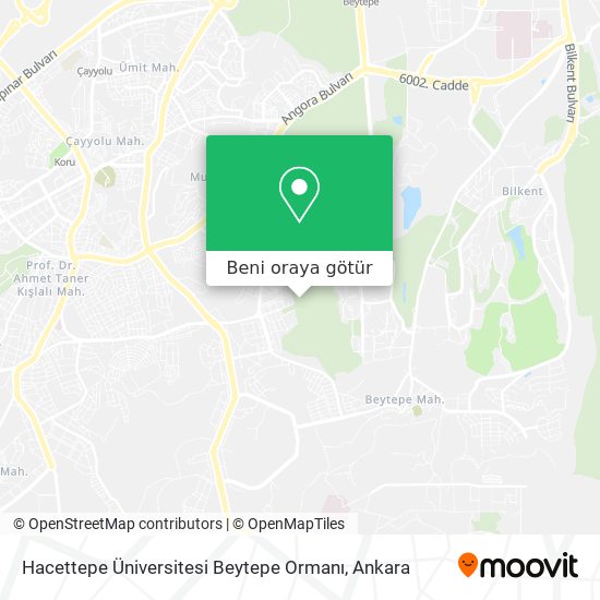 Hacettepe Üniversitesi Beytepe Ormanı harita