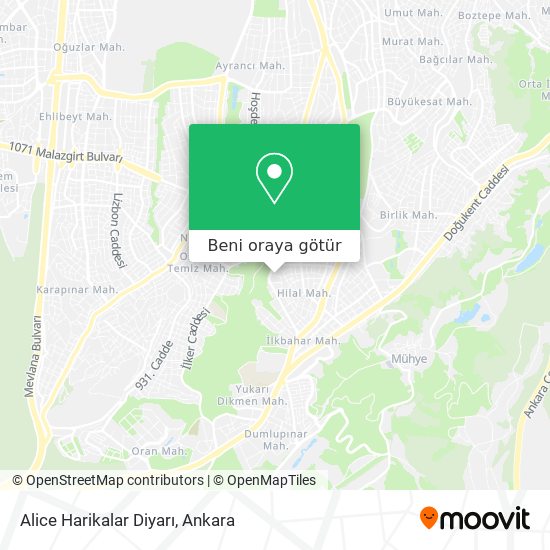 Alice Harikalar Diyarı harita