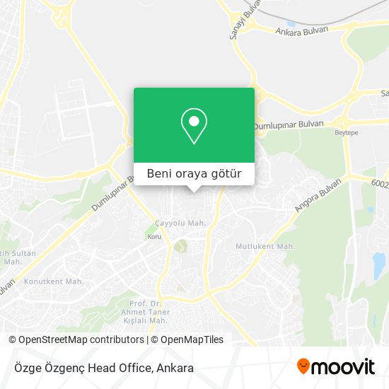 Özge Özgenç Head Office harita