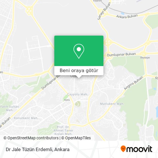 Dr Jale Tüzün Erdemli harita