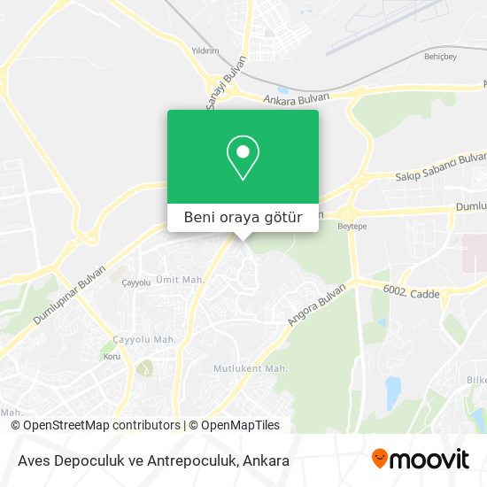 Aves Depoculuk ve Antrepoculuk harita