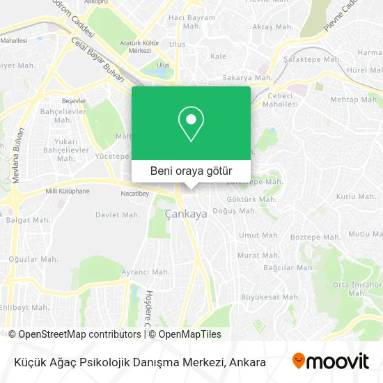 Küçük Ağaç Psikolojik Danışma Merkezi harita
