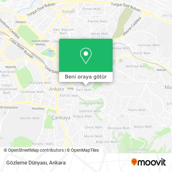 Gözleme Dünyası harita