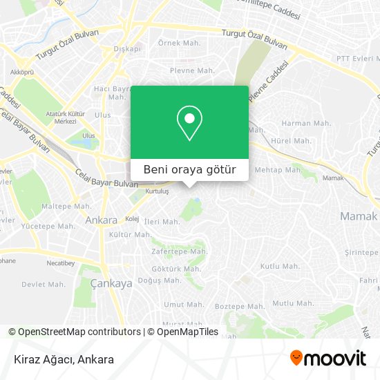 Kiraz Ağacı harita