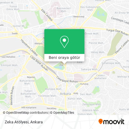 Zeka Atölyesi harita