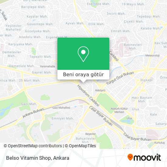 Belso Vitamin Shop harita