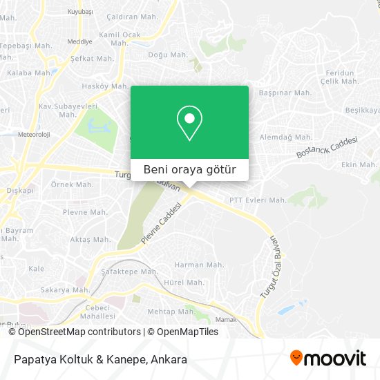 Papatya Koltuk & Kanepe harita