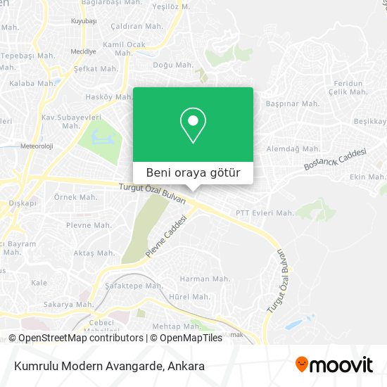Kumrulu Modern Avangarde harita