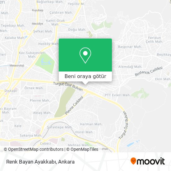 Renk Bayan Ayakkabı harita