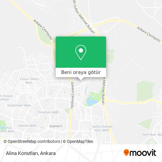 Alina Konutları harita