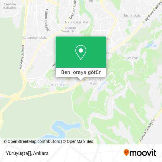 Yürüyüşte harita