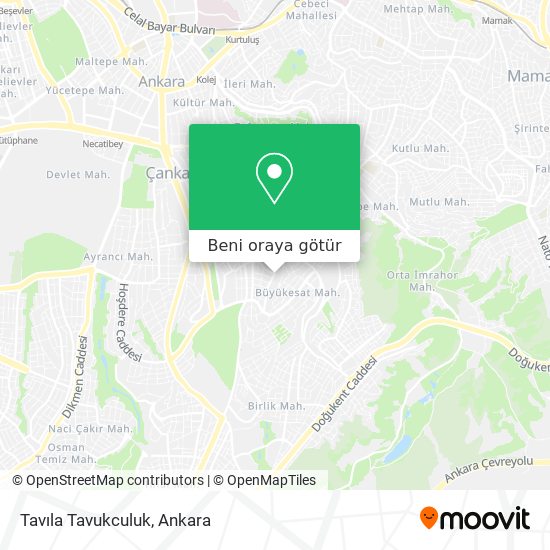 Tavıla Tavukculuk harita