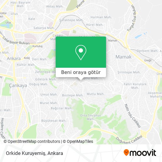 Orkide Kuruyemiş harita