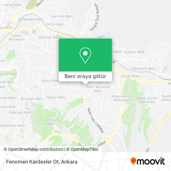 Fenomen Kardesler Ot harita
