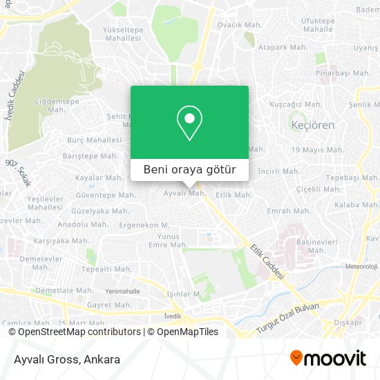 Ayvalı Gross harita