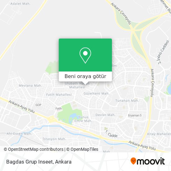 Bagdas Grup Inseet harita