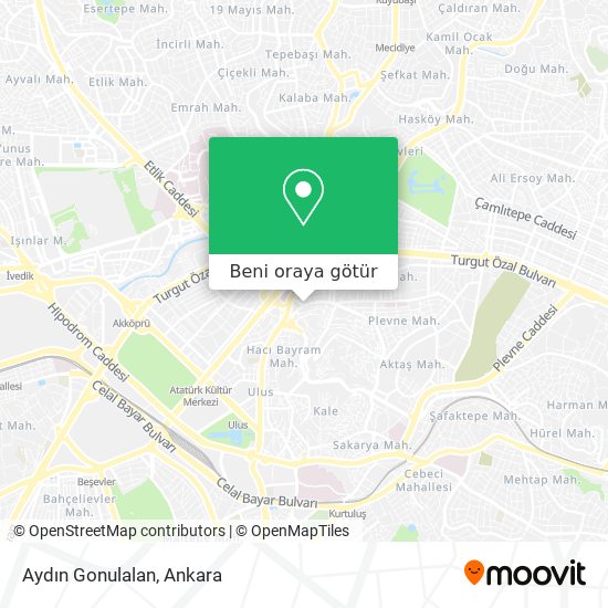 Aydın Gonulalan harita