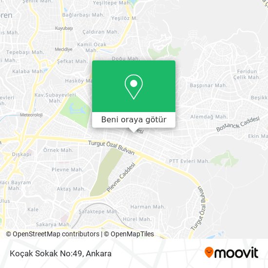 Koçak Sokak No:49 harita