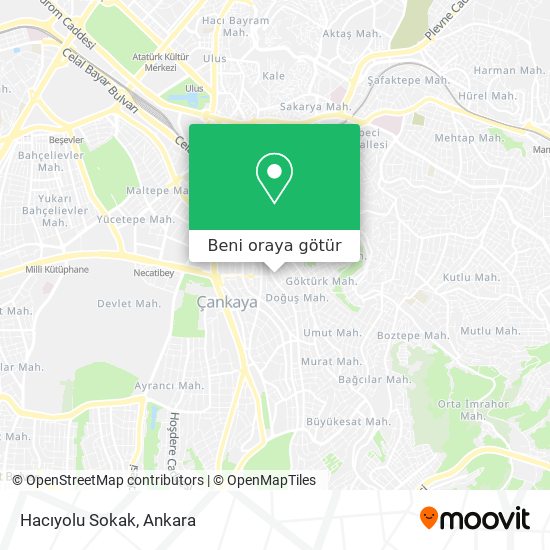 Hacıyolu Sokak harita