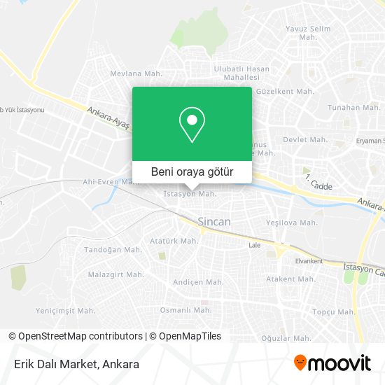 Erik Dalı Market harita