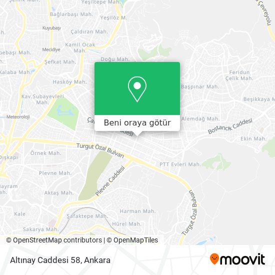 Altınay Caddesi 58 harita